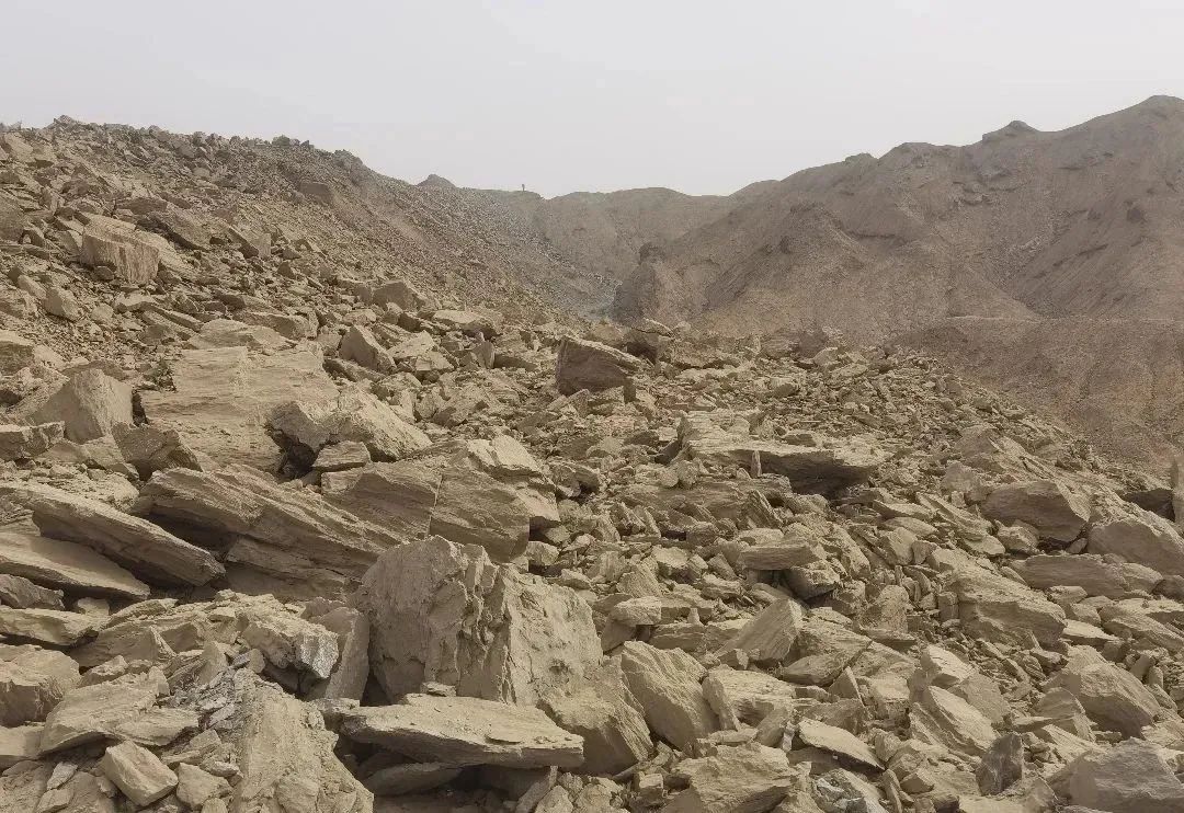 /uploads/image/2023/04/04/cf09be1df4030d46ee0f83787ed5dd85.jpg 4-2.jpg